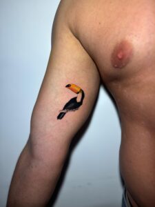 tattoo tucano copacabana