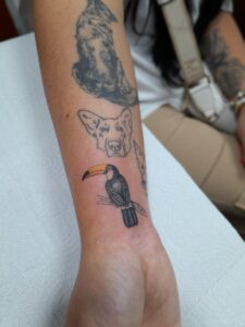 tattoo tucano studio tabet